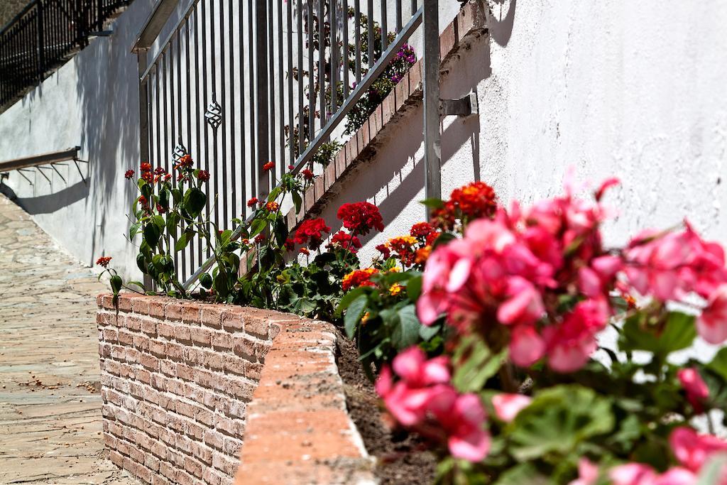 Apartamento I Tre Pini Pollica Exterior foto